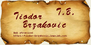 Tiodor Brzaković vizit kartica